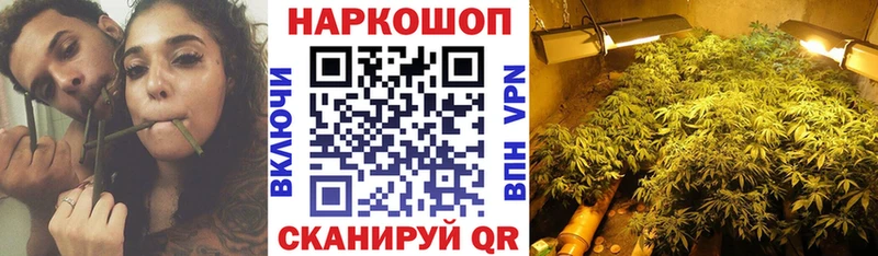 Где найти наркотики Алейск ГАШИШ Каннабис Галлюциногенные грибы Амфетамин LSD-25 Alpha-PVP hydra ссылка Мефедрон