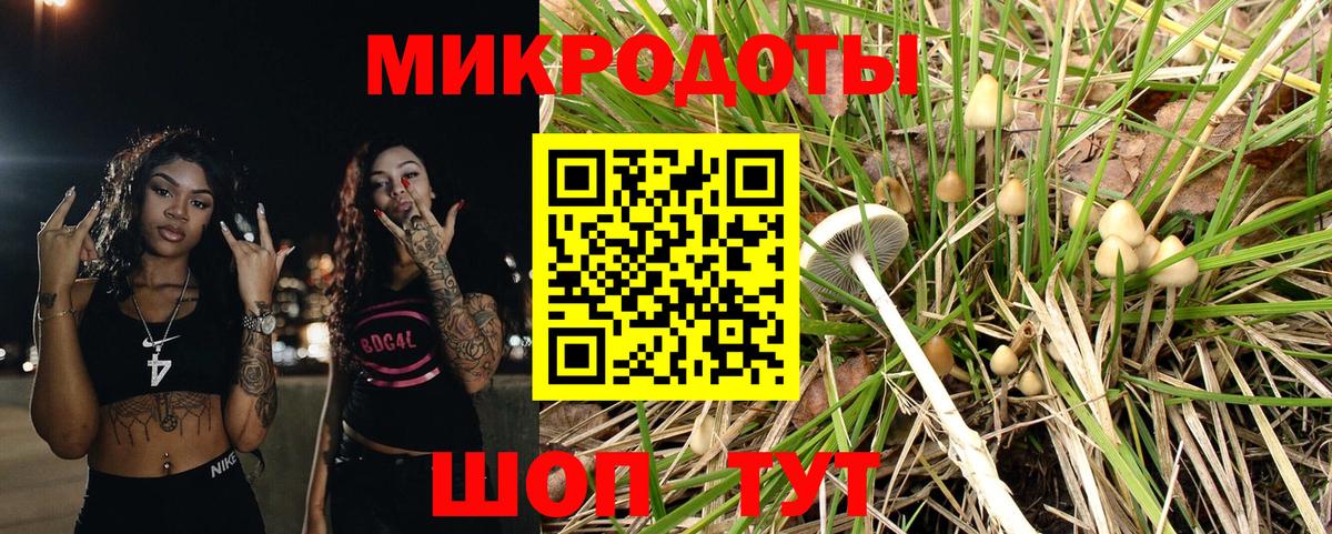 Галлюциногенные грибы GOLDEN TEACHER  Вход с VPN  Псилоцибиновые грибы Psilocybine cubensis  Алейск 