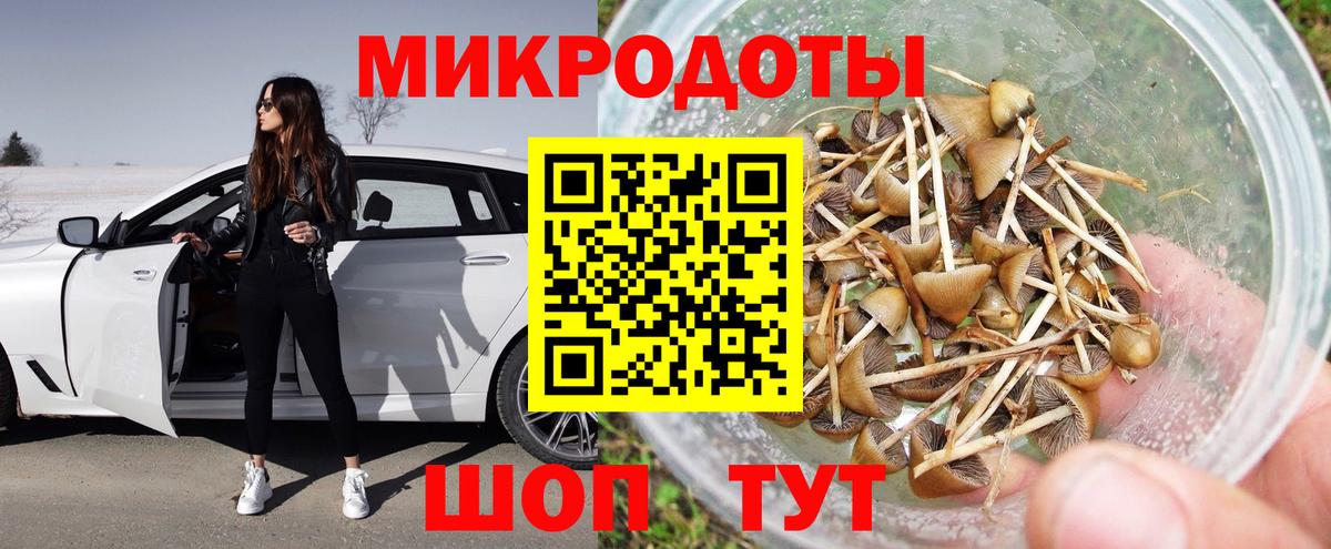Псилоцибиновые грибы ЛСД Алейск